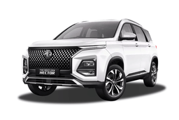 Mg Hector Color Candy White